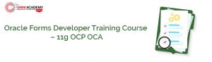 11g OCP OCA Course