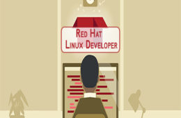 Red Hat - Linux Developer