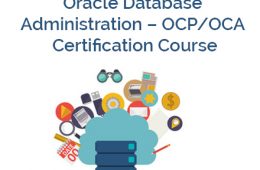 Oracle DBA Course