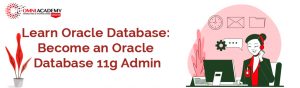 Oracle Database 11g Course