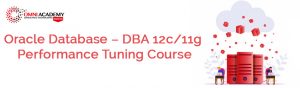 DBA 12c/11g Course