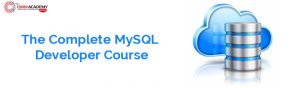 MySQL Developer Course