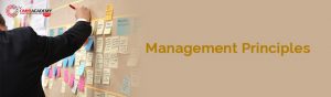 Management Principles Course