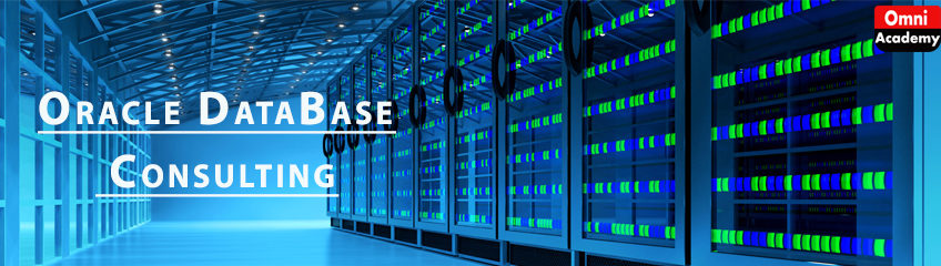 Oracle Remote DBA Services – Oracle Database Support in Karachi Lahore ...