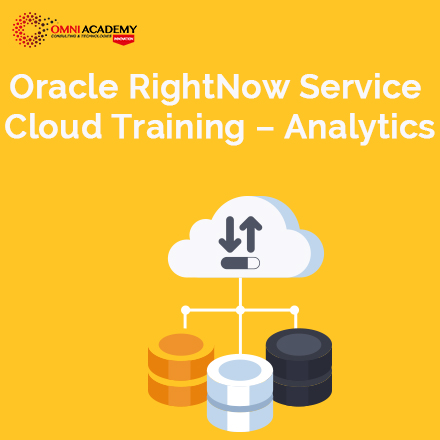 Oracle RightNow Course