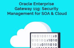 Oracle Enterprise 11g Course