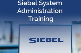 Siebel System Training