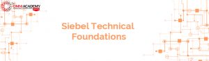 Siebel Technical Foundation Course