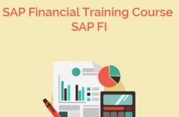 SAP FI Course