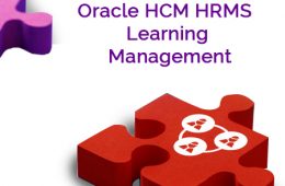 Oracle HCM Course