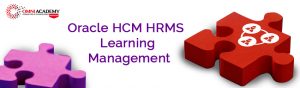 Oracle HCM Course
