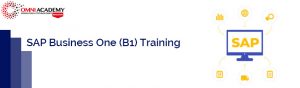 SAP B1 Training
