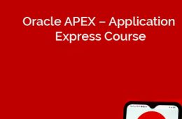 Oracle APEX Course