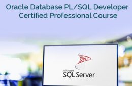 PL/SQL Course