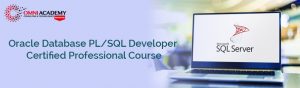 PL/SQL Course