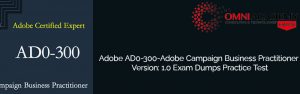 Adobe AD0-300