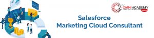 Salesforce Marketing