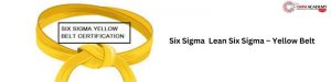 Six Sigma yellow belt
