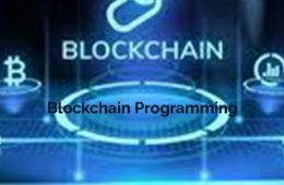 Blockchain Programming