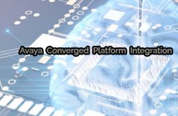 Avaya Platform integration