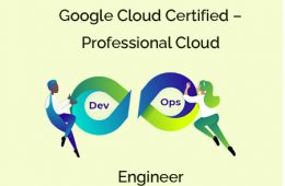 GCP Cloud DevOps Engineer