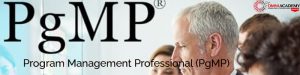 Program Management Professional (PgMP)