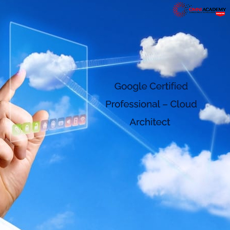 Google Certified Professional – Cloud Architect Exam Dump