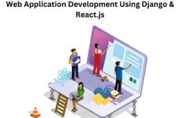 Web Application Development Using Django & React.js