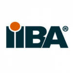 IIBA Partner Logo