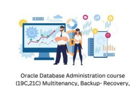 Oracle Database Administration course (19C,21C) Multitenancy, Backup- Recovery, Data Guard, Patching- Upgrade