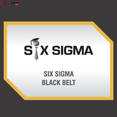 six sigma black belt