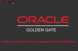 Oracle Goldengate 12c