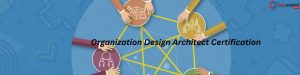 Organization Design Architect Certification