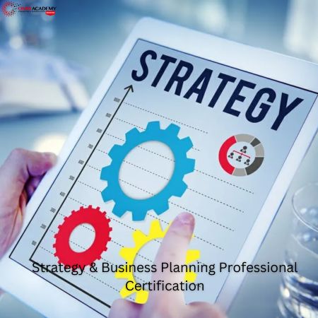 Strategy & Business Planning Professional