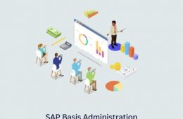 SAP Basis Administration