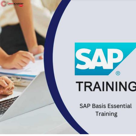 SAP Basis Essential Training