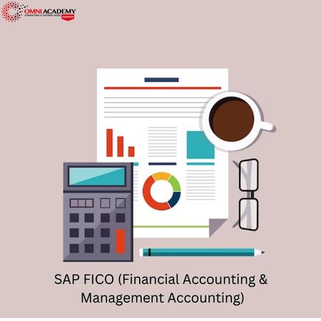 SAP FICO (Financial Accounting & Management Accounting)