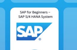 SAP for Beginners – SAP S4 HANA System