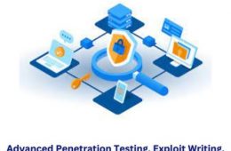 Advanced Penetration Testing, Exploit Writing, and Ethical Hacking