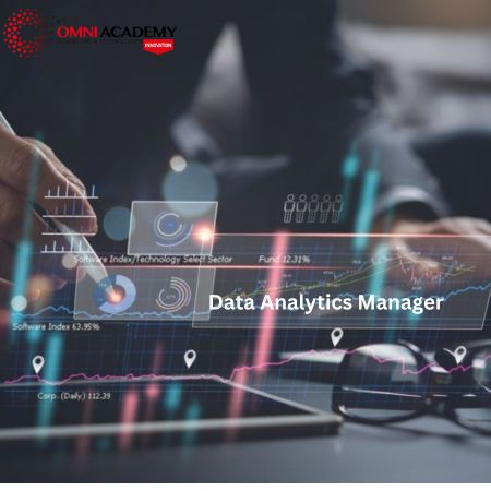 Data Analytics Manager