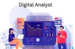 Digital Analyst