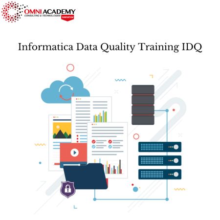 Informatica Data Quality Training IDQ