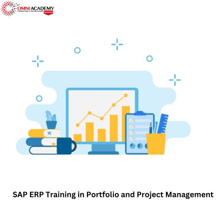 SAP ERP Training in Portfolio and Project Management